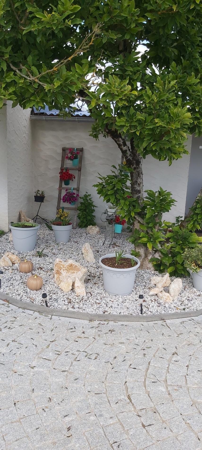 Plantations juin 2025