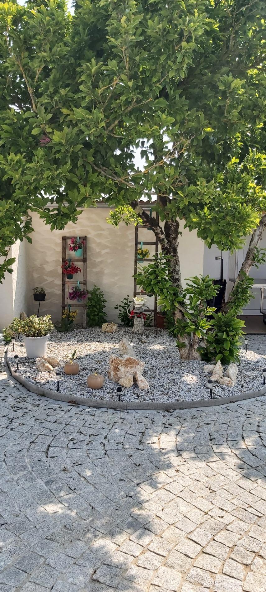 Plantations juin 2025